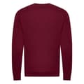Miniatyrbilde 2 av 2: Awdis Unisex Adult Organic Sweatshirt