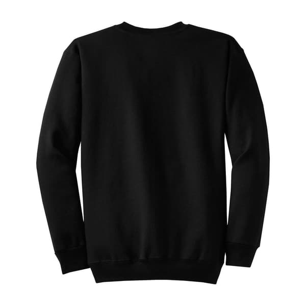 DC Comics Childrens/Boys Official Flash TV Star Laboratories Sweatshirt