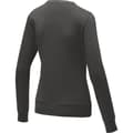 Miniatyrbilde 2 av 5: Elevate Womens/Ladies Zenon Pullover