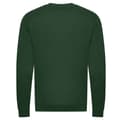 Pikkukuva 2 / 3: Awdis Unisex Adult Organic Sweatshirt