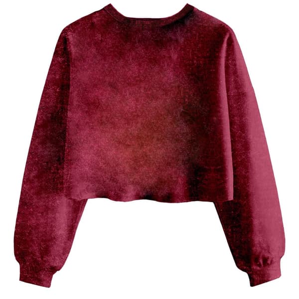 Harry Potter Womens/Ladies Gryffindor Constellation Acid Wash Crop Sweatshirt