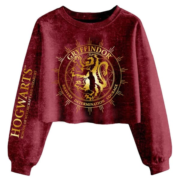 Harry Potter Womens/Ladies Gryffindor Constellation Acid Wash Crop Sweatshirt