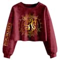 Miniatyrbilde 1 av 3: Harry Potter Womens/Ladies Gryffindor Constellation Acid Wash Crop Sweatshirt
