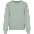 Miniatyrbild 1 av 2: Awdis Sweatshirt för kvinnor/damer