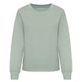 Miniatyrbilde 1 av 2: Awdis Womens/Ladies Sweatshirt