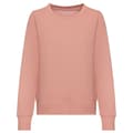 Miniatyrbilde 1 av 5: Awdis Womens/Ladies Sweatshirt