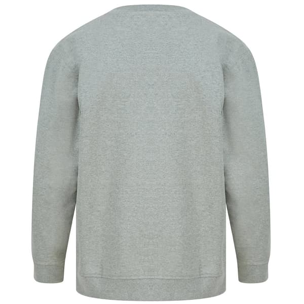 SF Unisex voksen mode bæredygtig sweatshirt