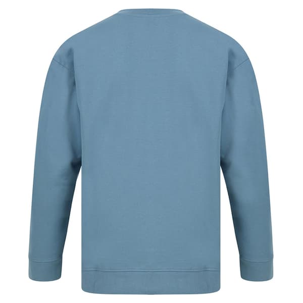 SF Unisex voksen mode bæredygtig sweatshirt