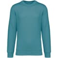 Miniatyrbild 2 av 2: Native Spirit Unisex vuxen Sweatshirt med halsringning för vuxna
