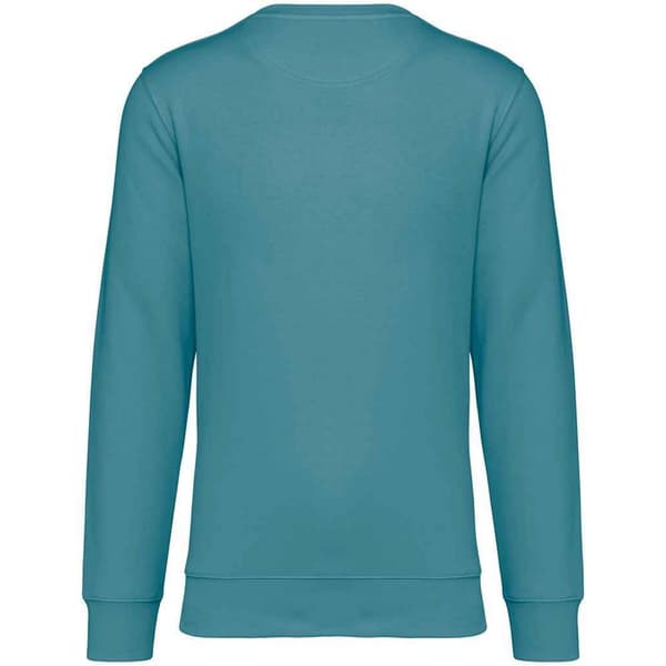 Native Spirit Unisex vuxen Sweatshirt med halsringning för vuxna