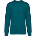 Miniatyrbillede 2 af 2: Native Spirit Unisex sweatshirt med halsudskæring til voksne