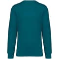 Miniatyrbillede 1 af 2: Native Spirit Unisex sweatshirt med halsudskæring til voksne