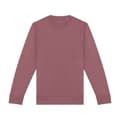 Miniatyrbillede 1 af 2: Native Spirit Unisex sweatshirt med halsudskæring til voksne