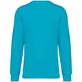 Miniatyrbillede 2 af 2: Native Spirit Unisex sweatshirt med halsudskæring til voksne