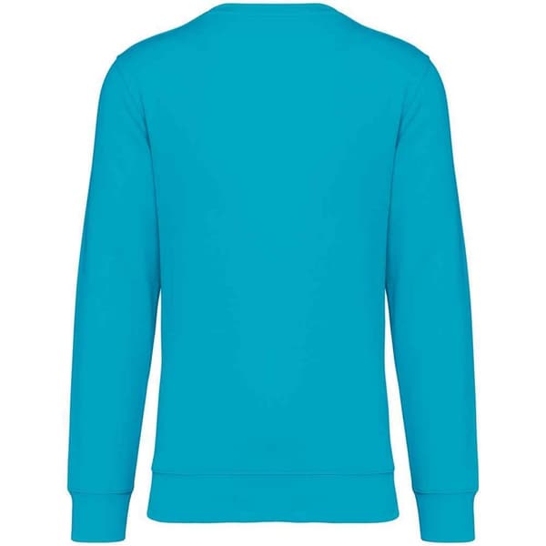 Native Spirit Unisex sweatshirt med halsudskæring til voksne
