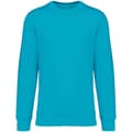 Miniatyrbillede 1 af 2: Native Spirit Unisex sweatshirt med halsudskæring til voksne