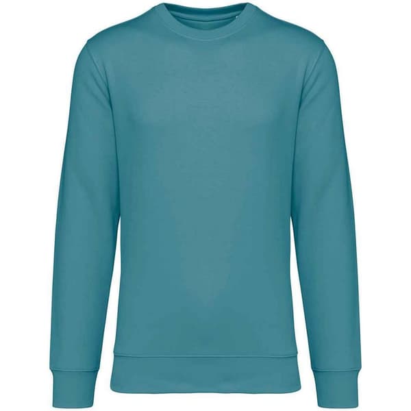 Native Spirit Unisex vuxen Sweatshirt med halsringning för vuxna