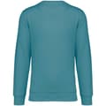 Miniatyrbild 1 av 2: Native Spirit Unisex vuxen Sweatshirt med halsringning för vuxna