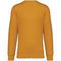 Miniatyrbillede 1 af 2: Native Spirit Unisex sweatshirt med halsudskæring til voksne