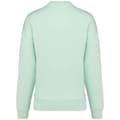 Pikkukuva 2 / 3: Native Spirit Womens/Ladies Oversized Sweatshirt