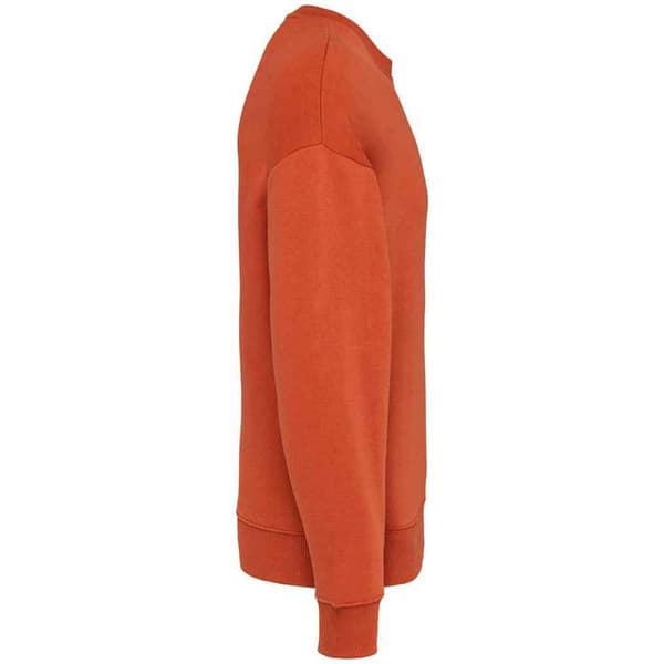 Native Spirit Womens/Ladies Oversized Sweatshirt