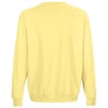 Miniatyrbillede 2 af 2: SOLS Unisex Columbia sweatshirt til voksne