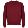 Miniatyrbilde 1 av 2: SOLS Unisex Adult Columbia Sweatshirt