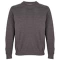 Miniatyrbilde 1 av 2: SOLS Unisex Adult Columbia Sweatshirt