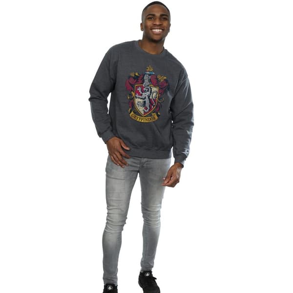 Harry Potter Gryffindor-tröja för herrar