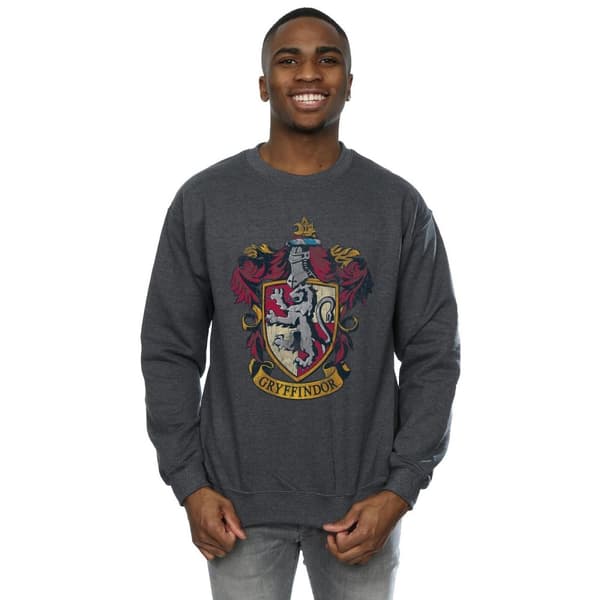 Harry Potter Gryffindor-tröja för herrar