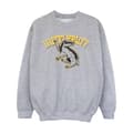 Miniatyrbillede 1 af 5: Harry Potter Girls Hufflepuff Sweatshirt