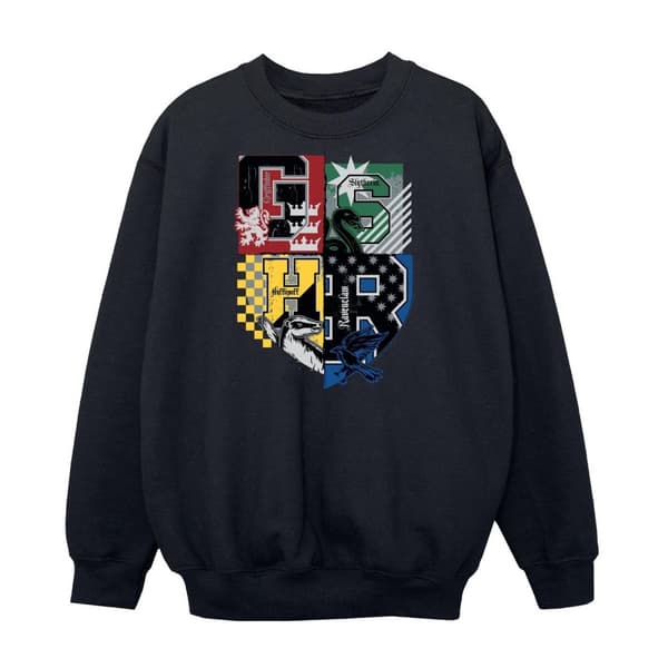 Harry Potter Boys Hogwarts Houses Sweatshirt