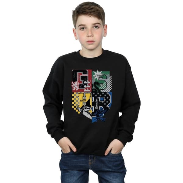 Harry Potter Boys Hogwarts Houses Sweatshirt
