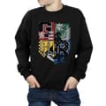 Miniatyrbillede 4 af 5: Harry Potter Boys Hogwarts Houses Sweatshirt