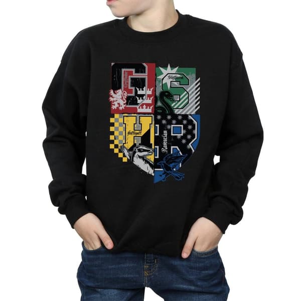 Harry Potter Boys Hogwarts Houses Sweatshirt