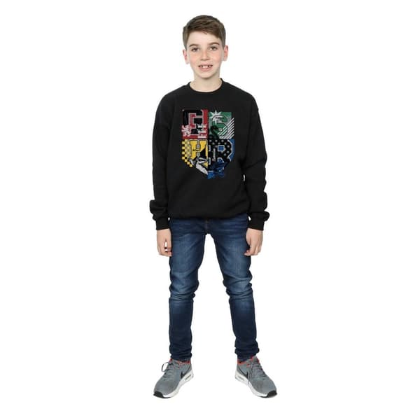 Harry Potter Boys Hogwarts Houses Sweatshirt