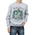 Miniatyrbillede 3 af 5: Harry Potter Boys Seeker Draco Malfoy Slytherin Sweatshirt