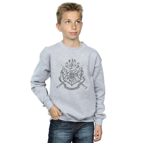 Harry Potter Boys Wands Hogwarts Crest Sweatshirt