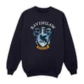 Miniatyrbilde 1 av 5: Harry Potter Boys Ravenclaw Sweatshirt