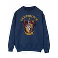 Miniatyrbilde 1 av 5: Harry Potter Mens Gryffindor Sweatshirt