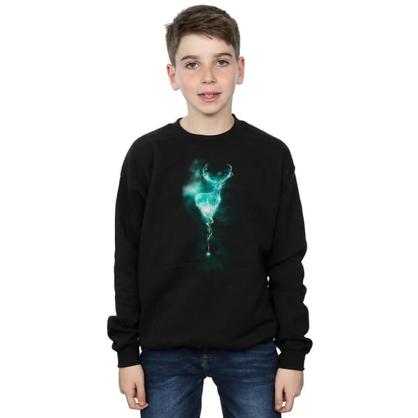 Harry Potter Boys Patronus Mist Stag Sweatshirt