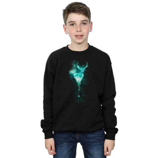 Harry Potter Boys Patronus Mist Stag Sweatshirt