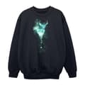 Miniatyrbillede 1 af 5: Harry Potter Boys Patronus Mist Stag Sweatshirt