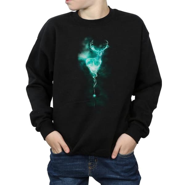 Harry Potter Boys Patronus Mist Stag Sweatshirt