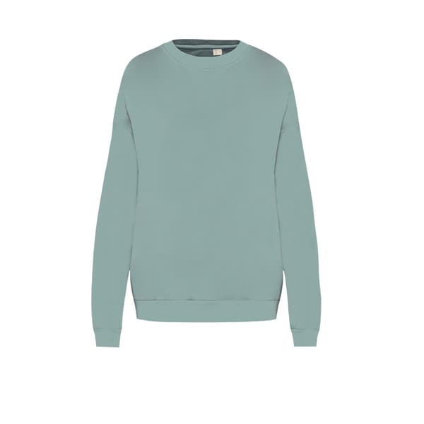 Native Spirit Unisex vuxen frotté överdimensionerad sweatshirt Washed Jade Green S