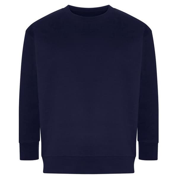 Ecologie Unisex Adult Crater Recycled Sweatshirt