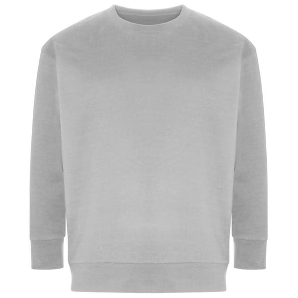 Ecologie Unisex Adult Crater Recycled Sweatshirt