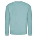 Miniatyrbilde 2 av 2: Awdis Unisex Adult Soft Touch Sweatshirt