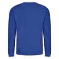 Miniatyrbilde 2 av 2: Awdis Unisex Adult Soft Touch Sweatshirt