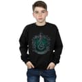 Miniatyrbilde 2 av 5: Harry Potter Boys Slytherin Cotton Sweatshirt